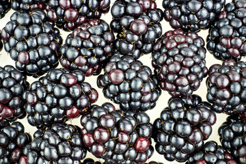 Fototapeta na wymiar Sweet fresh blackberry background