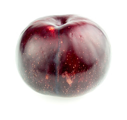 Plum