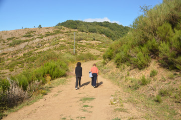 Obraz premium paseando por un camino de montaña
