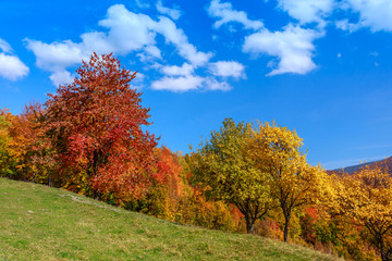 Colorful autumn landscape in the Carpathian mountains