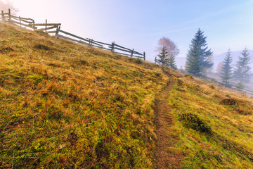 Obraz premium Colorful autumn landscape scene with fence in Transylvania
