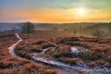 Early, cold winter morning at the Posbank in the Netherlands with a rising sun over a beautiful landscape. HDR - 92114217