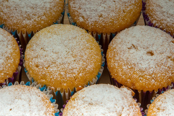 Homemade cupcakes with powdered sugar, close-up