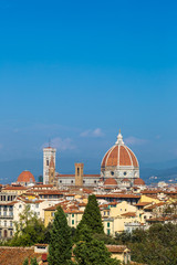 Panoramic view of Florence