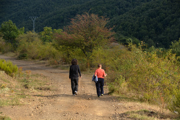 Fototapeta na wymiar mujeres paseando por un camino de montaña