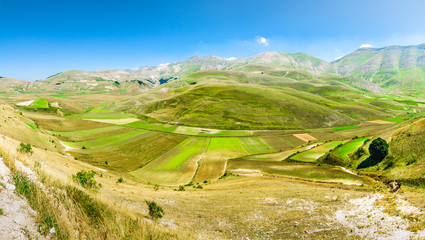 Fototapeta na wymiar Pian di Castelluccio di Norcia, wonderful plateau in the natural