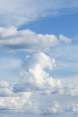 White soft fluffy clouds in blue vertical sky