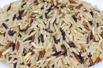 Rice
