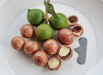 Shelled and unshelled macadamia nuts