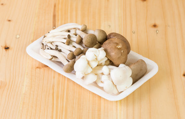 mix mashrooms in foam plated on wooden