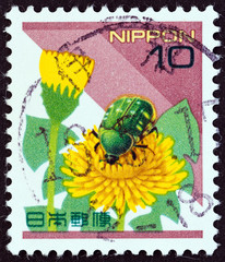 Smaller Green Flower Chafer beetle (Japan 1997)