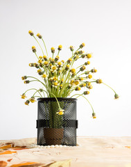 little yellow wild grass flower in mini vase with mix and match retro style
