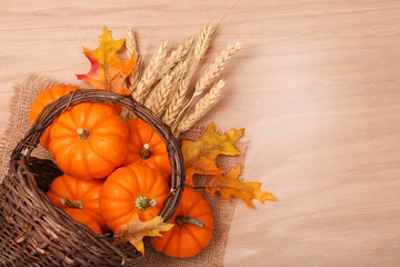 Naklejka na ściany i meble Pumpkins with Basket and Ears of Wheat on table. Harvest