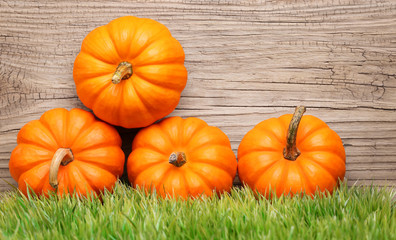 Pumpkins on green grass over wooden background. Harvest