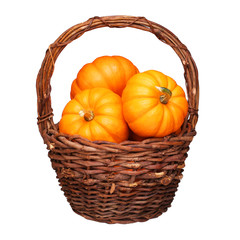 Basket with pumpkins isolated on white. Harvest