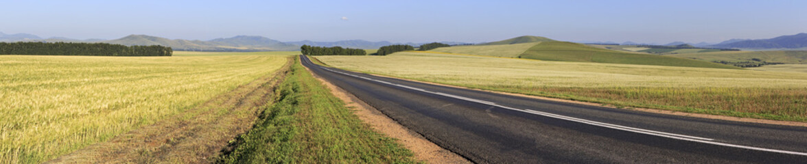 Fototapeta na wymiar Beautiful panorama the road among farm fields.