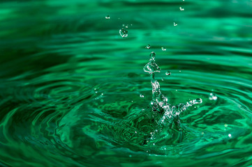 water splash on green background