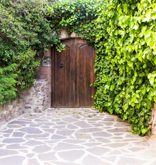 Old door ivy-covered