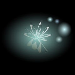 Glowing flower on a black background