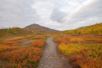 Mountain landscape in north of Sweden
