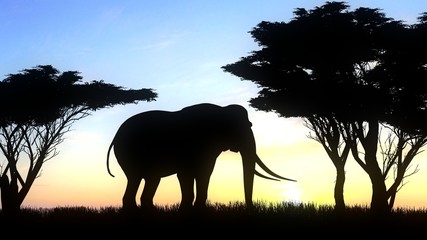 Fototapeta na wymiar Elephant silhouette on nature background