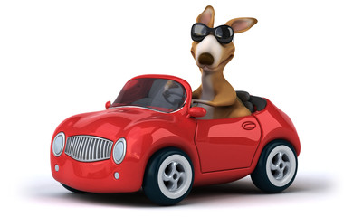 Fun kangaroo © Julien Tromeur