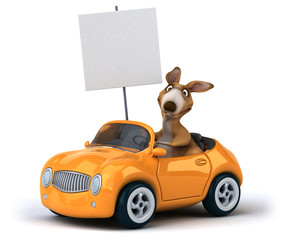 Fun kangaroo © Julien Tromeur