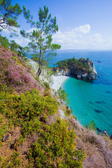 Fototapete bei efototapeten.de bestellen   