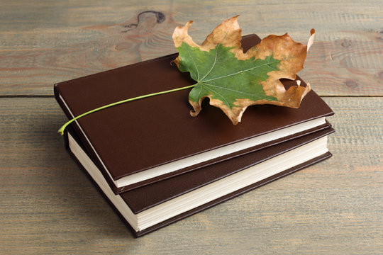 a book and green leaves on wooden background