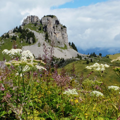 Alpenpanormama Kleine Scheidegg und Eiger