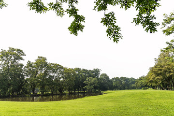 Green grass field with white cloudy sky