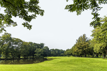 Green grass field with white cloudy sky