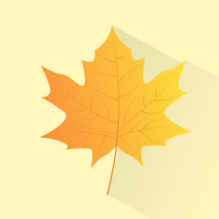 Maple Yellow Leaf Hand Draw Color Icon Vector 