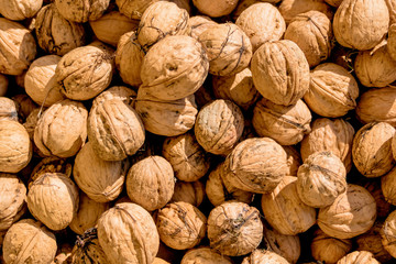 Viele Walnüsse Nahaufnahme