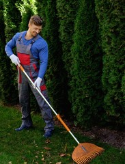 Gardener raking up leaves
