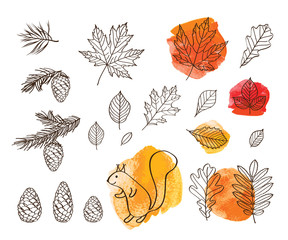 Hello autumn! Fall of the leaves. Cones, spruce and pine spruce, squirrel. Autumn leaves of trees on an orange, red and yellow watercolor background. Sketch, design elements. Vector illustration.

