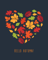 Hello autumn! The heart of the autumn leaves. Background with hand drawn autumn leaves. Fall of the leaves. Autumn leaves are drawn on the chalkboard. Sketch, design elements. Vector illustration.