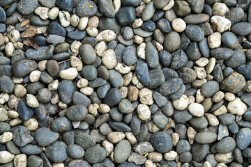 Background Texture of Pebble stones