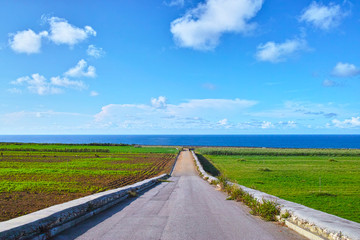 海が見えるサトウキビ畑と農道と青空