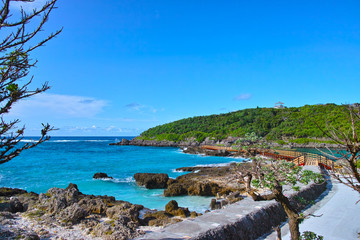 Obraz premium 真夏のイムギャーマリンガーデンの風景 