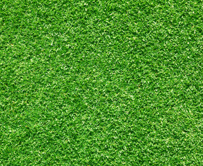 Obraz premium Grass background