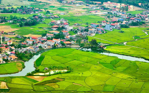 Rice fields in LangSon of northwest vietnam.