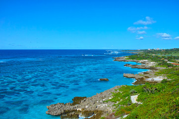 Fototapeta premium 真夏のイムギャーマリンガーデンの風景