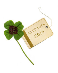 Good Luck 2016