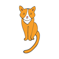 Hand drawn illustration of cute domestic cat