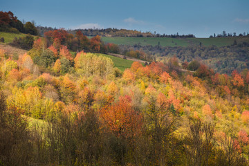 Obraz premium jesienny krajobraz