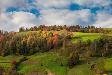 autumnal landscape