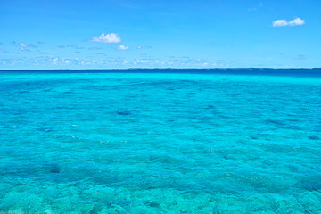 コバルトグリーンの海