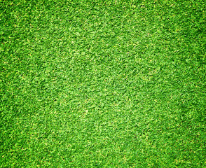 Fototapeta premium Grass background