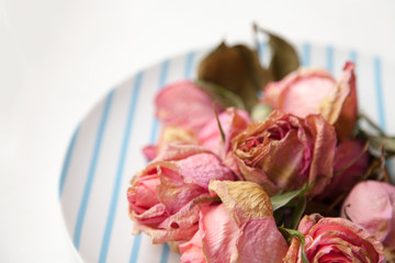 Beautiful tender dry roses on a plate background
